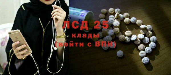 индика Белоозёрский