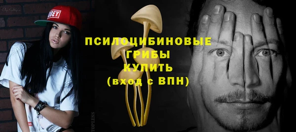 прущий лед Белокуриха