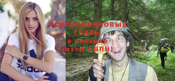прущий лед Белокуриха