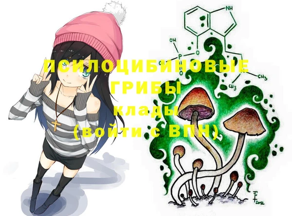 индика Белоозёрский