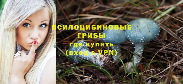 прущий лед Белокуриха