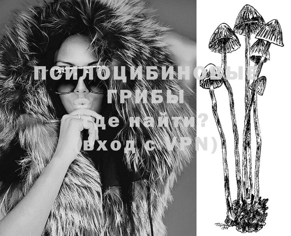 индика Белоозёрский