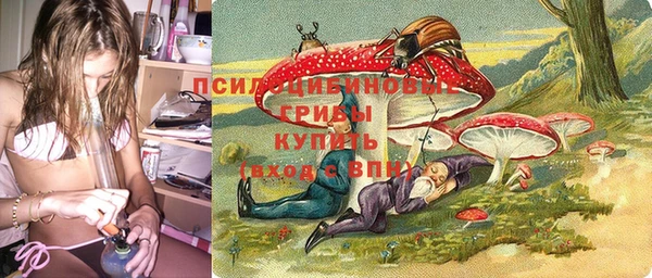 прущие крисы Баксан