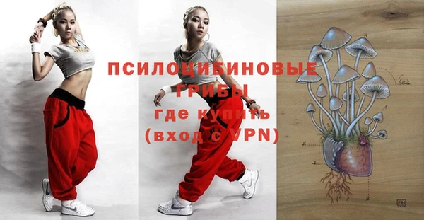 хмурый Балахна