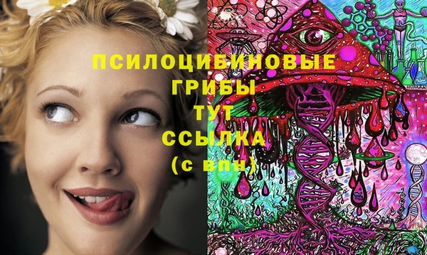 прущие крисы Баксан