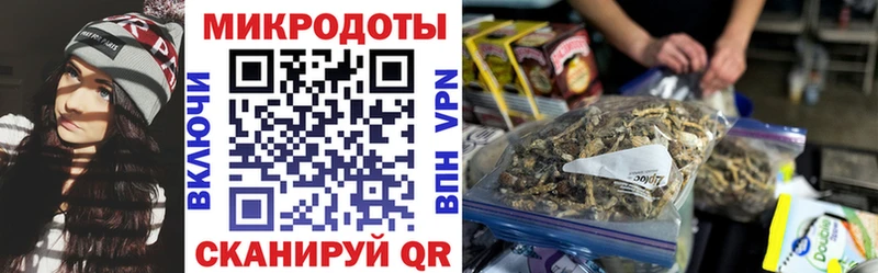 Галлюциногенные грибы Psilocybe  Великие Луки 