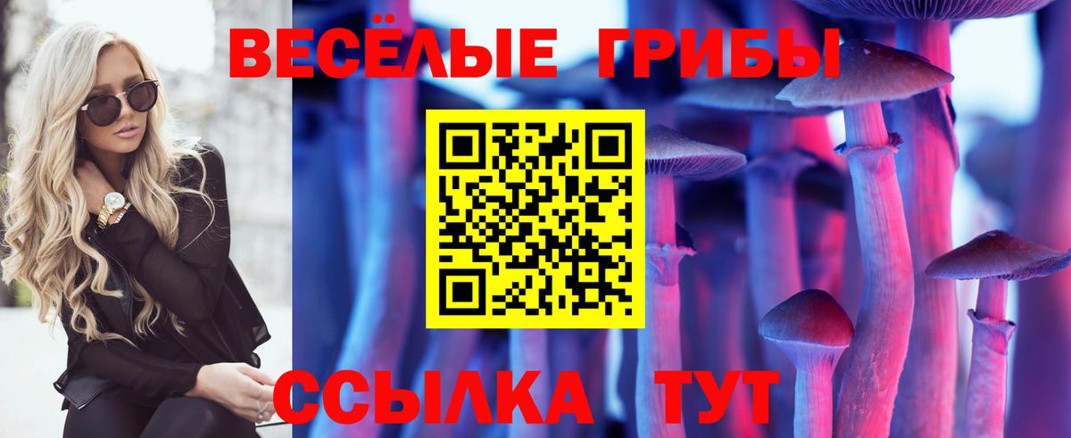 Великие Луки  Галлюциногенные грибы Psilocybine cubensis  Вход с VPN  Галлюциногенные грибы мицелий 